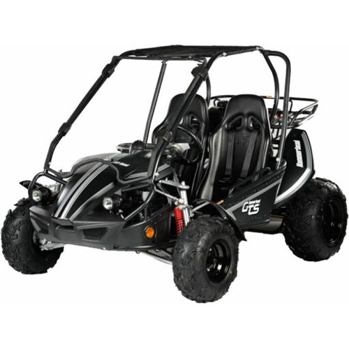 Para jovens á partir de 16 anos - Buggy GTS 150 - Preto