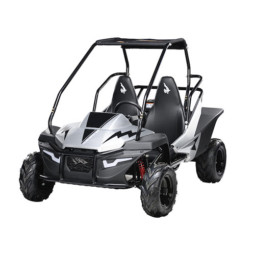 Mini Buggy Infantil - Mini Buggy MudHead SE - Prata